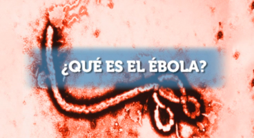 qué es el Ébola