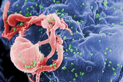 Nuevo fármaco contra el VIH (SIDA) menos tóxico que los utilizados hasta ahora Tenofovir alafenamide - copia