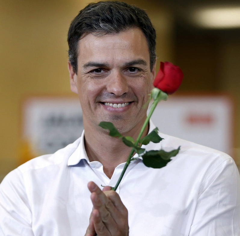 pedro sánchez candidato de PSOE a la Moncloa