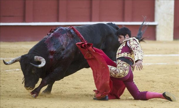 El diestro Salvador Vega en la faena de muleta a su segundo toro, al que ha cortado una oreja, durante el segundo festejo de la Feria de Málaga 2015 que se celebra en la plaza EFE