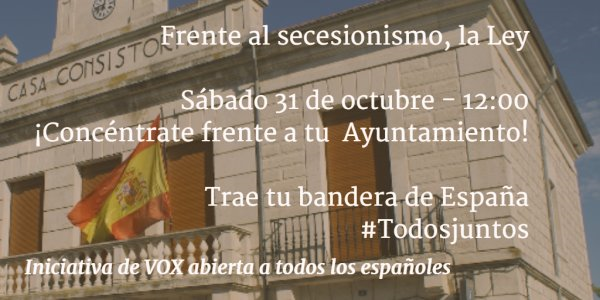 concentración patriotica impulsada por VOX ante los Ayuntamiento del Estado hoy