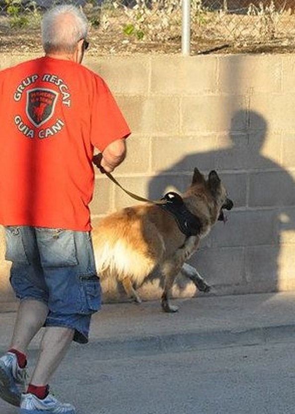 Un voluntario del Grupo Mantrailing Cataluña durante un exercio. Foto archivo. lasvocesdelpueblo