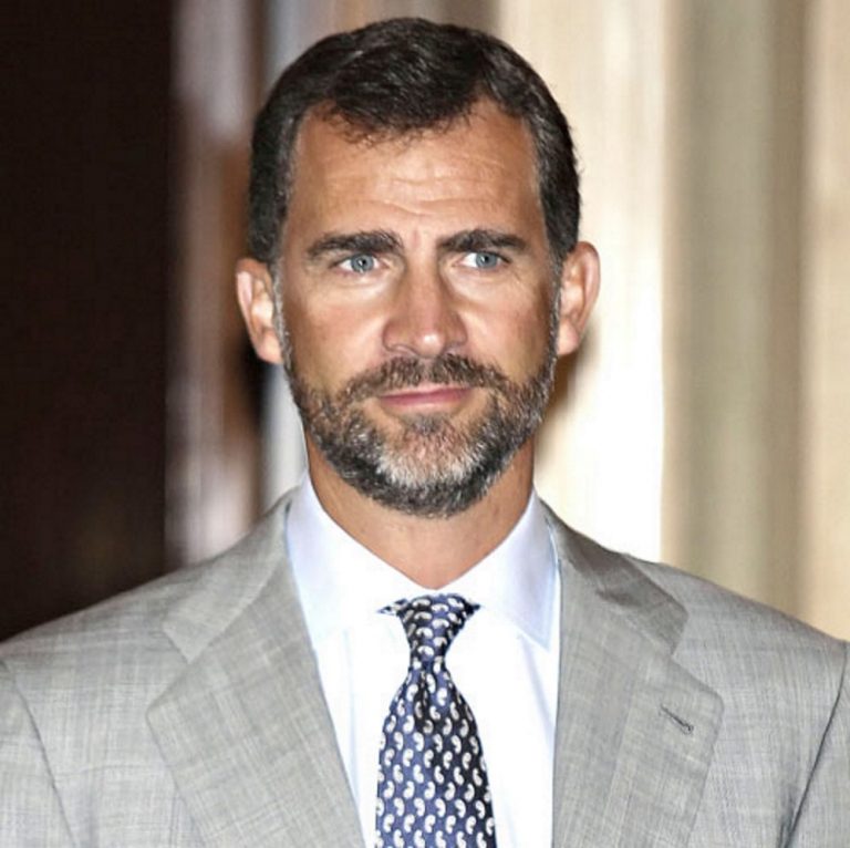 Currículum del rey Felipe VI de España