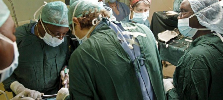 Trasplantan con éxito dos riñones de cerdo a una persona que se encontraba en muerte cerebral