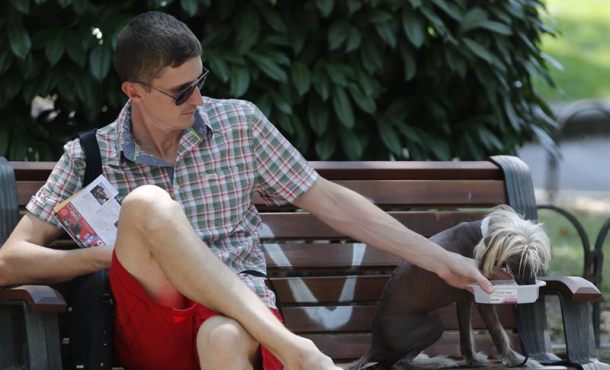 Un hombre da de beber a su perro ayer en la plaza de España en Madrid. EFE