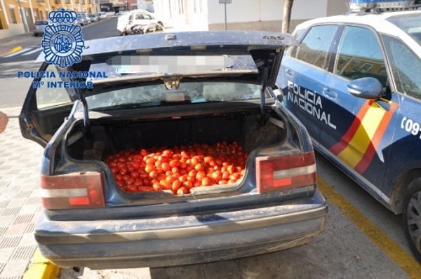 Parte de los centerares de kilos de tomates tóxicos intervenidos este jueves por agentes de pOlicía Nacional de la Nación... Lasvocesdelpueblo