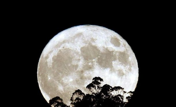 la-superluna-se-da-cuando-estando-en-su-fase-de-llena-se-encuentra-en-una-posicion-especialmente-cercana-al-planeta-como-sucede-hoy-14-de-noviembre-de-2016-efe
