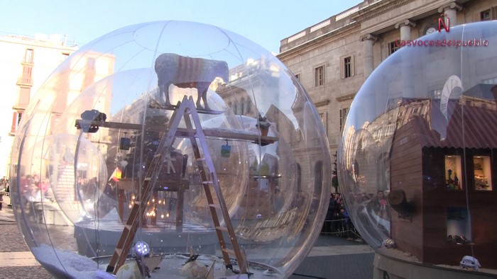 dos-plataformas-una-con-una-oveja-catalanizada-del-belen-laico-del-ayuntamiento-de-barcelona-para-este-ano-2016-lasvocesdelpueblo