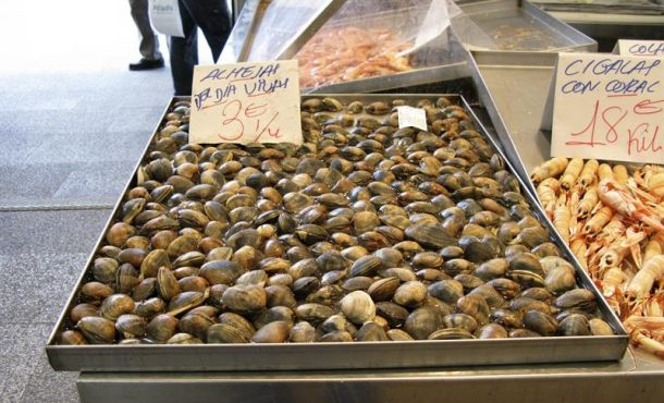 Fotografía facilitada por el Seprona de la Guardia Civil de la última macrorredada de la Interpol y de la Europol contra... efe