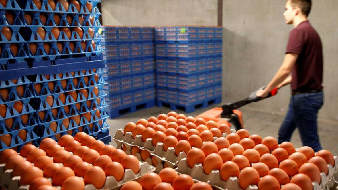Huevos en una granja en Wotel, Bélgica. Archivo Reuters