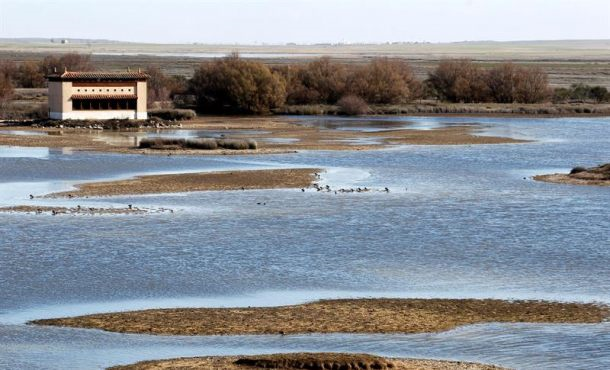 Imagen de la reserva natural de las Lagunas de Villafáfila, ubicada en la provincia de Zamora, el pasado mes de junio. Archivo Efe.