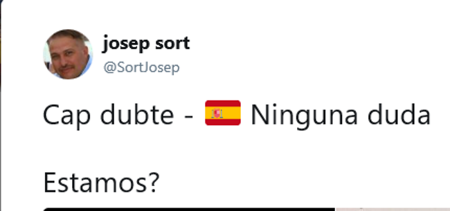 CATALUÑ (ESPAÑA), 12.09.2017. Captura pantalla del mensaje-respuesta del agente de los Mozos de Escuadra, Pep Sort. Lasvocesdelpueblo