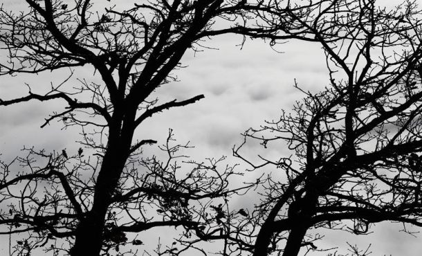 MADRID (ESPAÑA), 26.12.2017. Las temperaturas diurnas bajarán de forma generalizada con la llegada de este temporal. Efe.