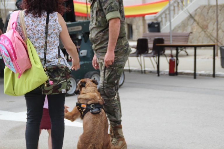 Mira lo que hace la Unidad Canina del Ejército español en Cataluña