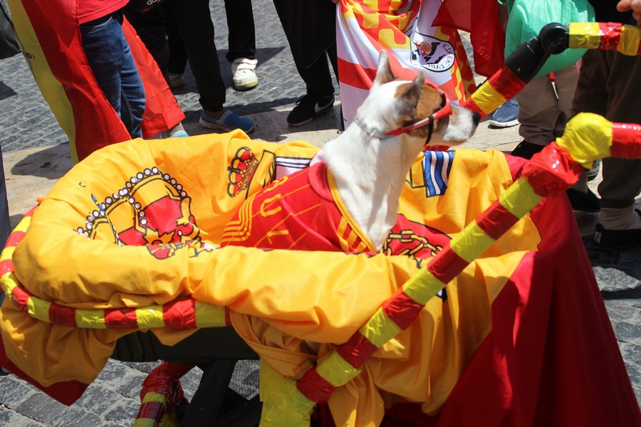 Fotografía PLAZA SAN JAIME DE BARCELONA (ESPAÑA), 20.05.2018. Un español tabarniés denuncia el nazismo de Quim Torra y compañías. Lasvocesdelpueblo (138)