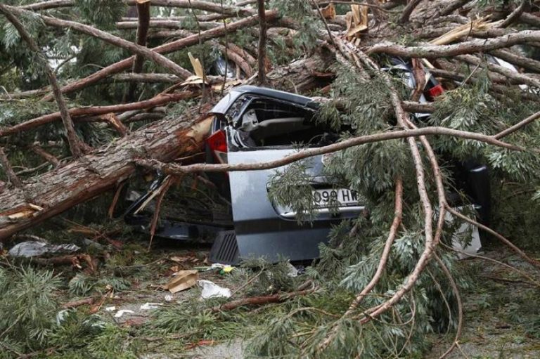 2 heridos de gravedad al caer una rama de árbol en campus de Universidad de Navarra
