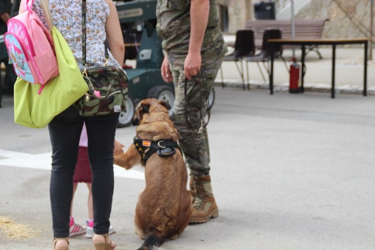 Militares llaman a la «movilización» contra maniobras del PSOE para «sacrificar al soldado»