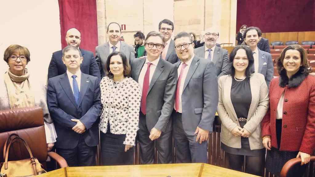FOTOGRAFÍA. PARLAMENTO DE ANDALUCÍA (SEVILLA) ESPAÑA, 27.12.2018. Los 12 diputados de VOX posan en el Parlamento de Andalucía donde, todas y todos... Ñ Pueblo-
