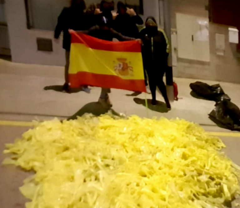 Brigada «Cruzada de los 300» limpia de lazos amarillos a Alió y Puigpelat (Tarragona)