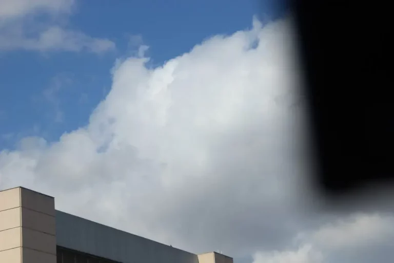 FOTOGRAFÍA. PLAZA DE ESPAÑA CON AVENIDA REINA MARIA CRISTINA DE BARCELONA (CATALUÑA) REINO DE ESPAÑA, 30 DE ENERO DE 2019, Vista general del acto más multitudinario de VOX hoy, sábado, 30 de marzo de 2019, en la Avenida Reina Maria Cristina de Barcelona con Plaza de España de la Ciudad Condal. Lasvocesdelpueblo (Ñ Pueblo)
