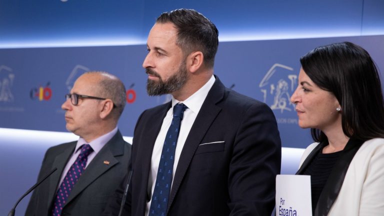 VOX considera que los acuerdos del «PSOE y Bildu» en Navarra son «una traición»