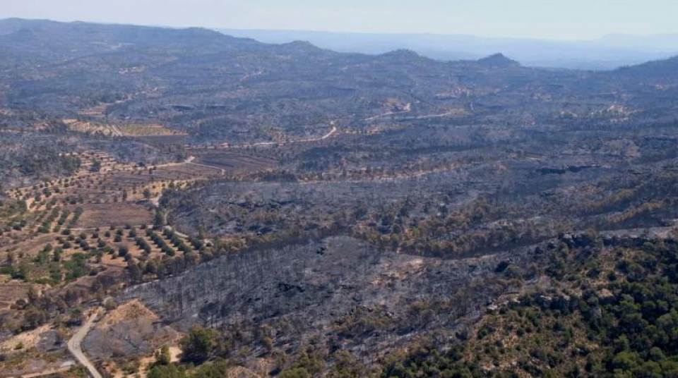FOTOGRAFÍA. RIBERA D'EBRE (ESPAÑA), 29.06.2019. Captura de video de una vista aérea de la zona afectada por el incendio de la Ribera d'Ebre. Efe