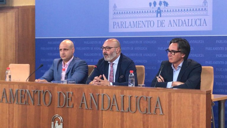FOTOGRAFÍA. SEVILLA (ESPAÑA), 03.06.2019. Rueda de prensa del Grupo Parlamentario de VOX en el Parlamento de Andalucía sobre las enmiendas a la totalidad de los 'verdes'. Ñ Pueblo