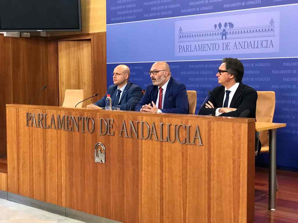 FOTOGRAFÍA. SEVILLA (ESPAÑA), 06.06.2019. El adjunto de VOX en el Parlamento de Andalucía, Rodrigo Alonso (i), Alejandro Hernández (c). Ñ Pueblo (1)_