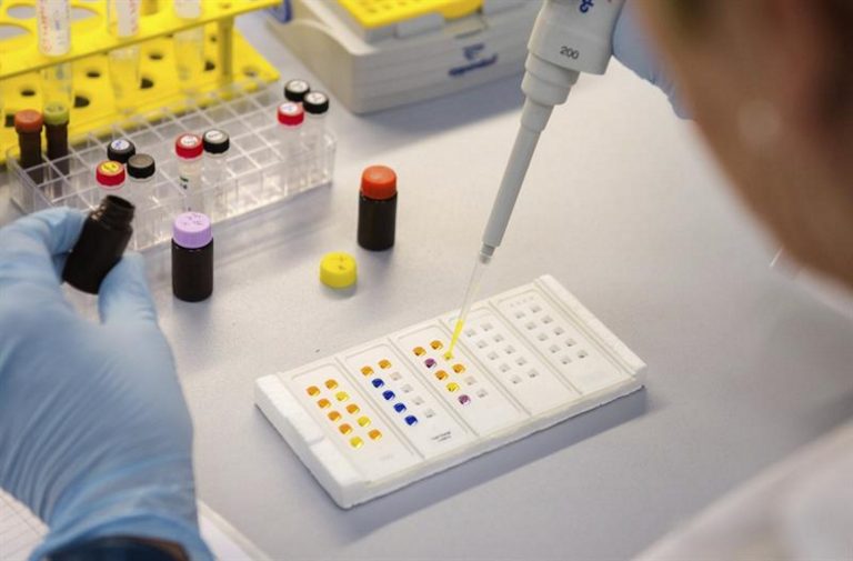 Pido a todos los que lean estas líneas que eleven su alma al cielo