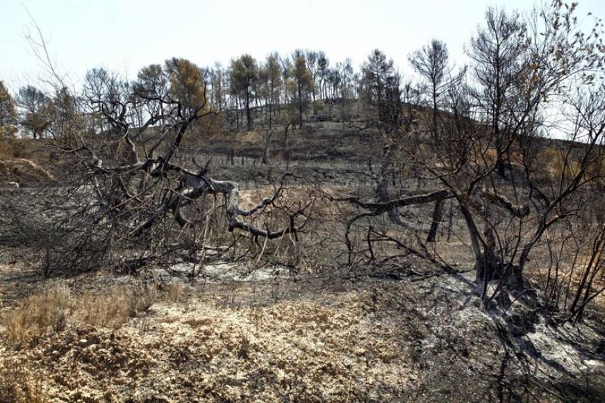 FOTOGRAFÍA. RIBERA D'EBRE (TARRAGONA), 30.06.2019. Aspecto de una zona afectada por el incendio que los Bomberos de la Generalitat. Efe