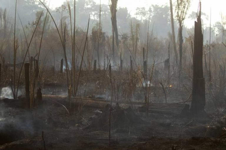 Fuerzas Armadas brasileñas, movilizadas en el combate de incendios de la Amazonía