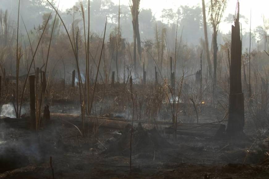 FOTOGRAFÍA. AMAZONÍA BRASILEÑA (BRASIL)AMAZONIA, 26.08.2019. Vista de los daños producto del incendio en la selva amazónica este lunes, en Porto Velho (Brasil). Efe