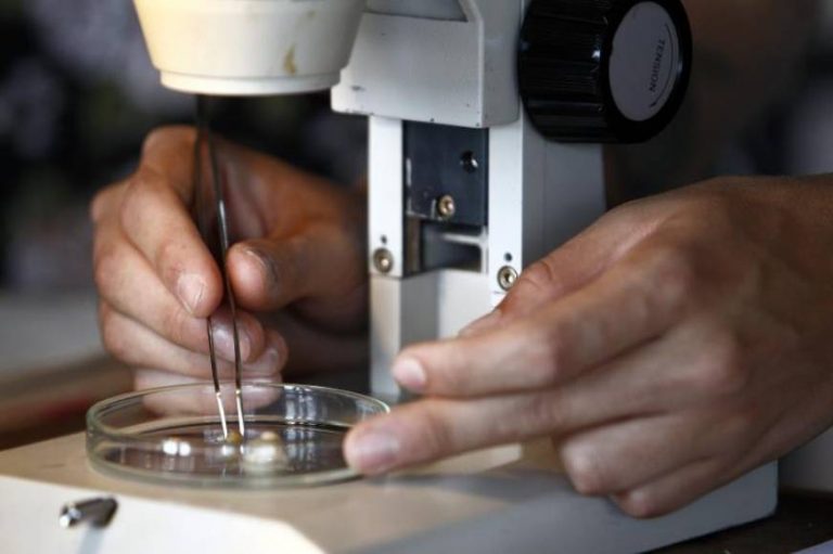 Muere por listeriosis en Cantabria sin relación con la carne «mechada» del brote andaluz