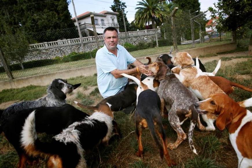 FOTOGRAFÍA. BERGONDO (LA CORUÑA) ESPAÑA, 28.08.2019. La cría de perros de caza es desde hace años la mayor afición de Manuel Golpe, mascota,perros,caza. Efe