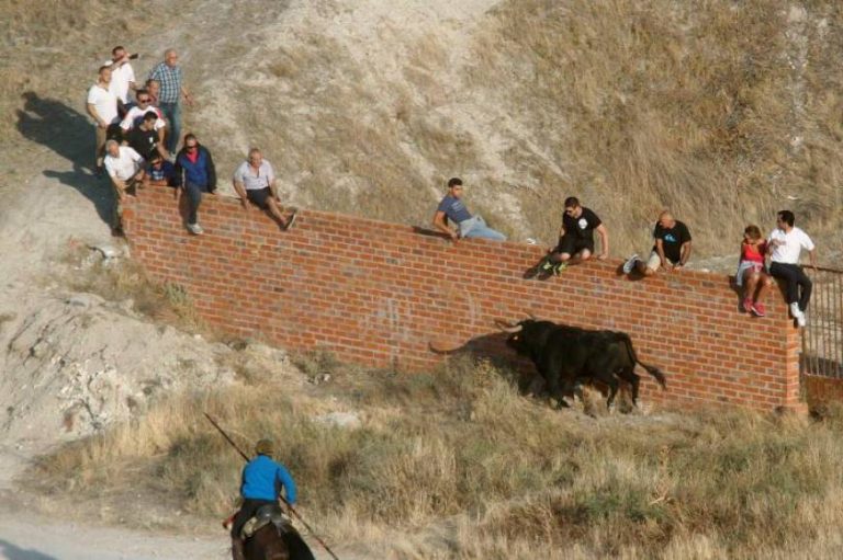 Murió al producirse la cornada del toro en el cuello y tórax en Cuéllar (Segovia)