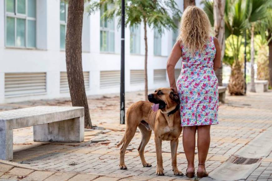 FOTOGRAFÍA. JEREZ DE LA FRONTERA (ESPAÑA), 04.08.2019. Un proyecto de investigación del Instituto Andaluz Interuniversitario de Criminología de la Universidad de Cádiz . Efe