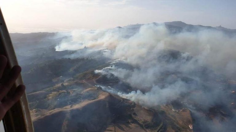 Evacuadas 9 mil personas por el incendio de Gran Canaria