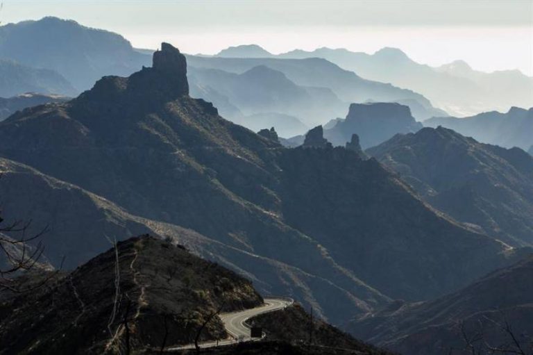 El incendio de Gran Canaria se estabiliza y regresan a sus casas unos 3 mil evacuadas