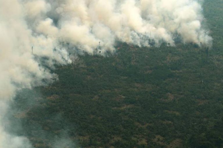 La Consejo Europeo cuestiona la ratificación del Acuerdo con Mercosur por la Amazonía