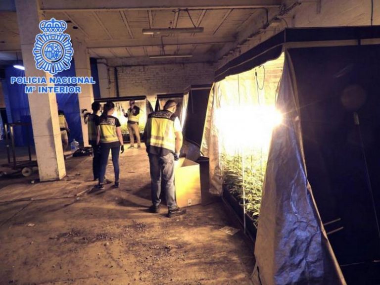 Policía Nacional detiene a 3 hombres por cultivar marihuana en Vic (Barcelona)