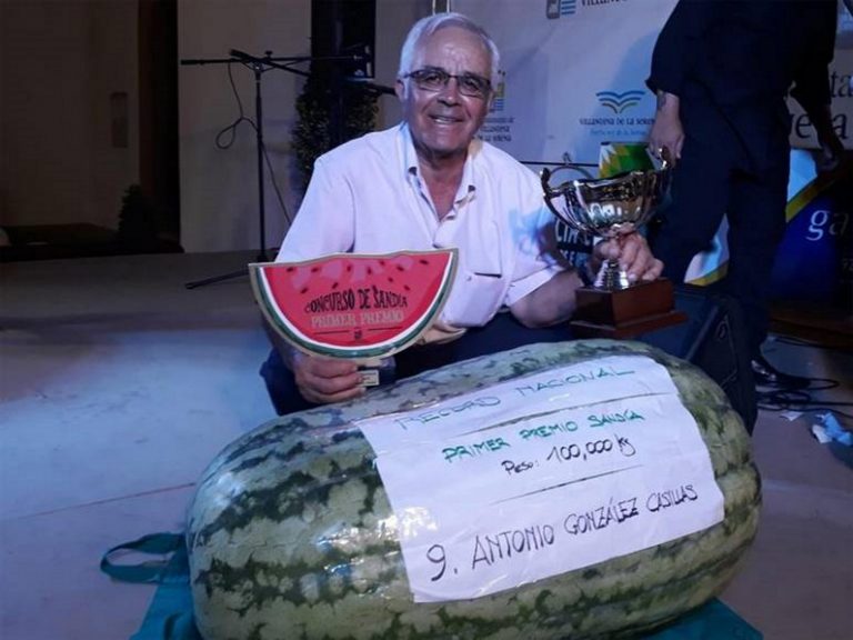 Sandía de 100 kilos, nuevo récord de España, un fruto de Antonio González Casillas