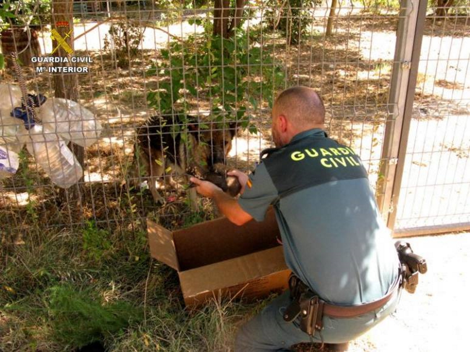 FOTOGRAFÍA. ZARAGOZA (ESPAÑA), 20.08.2019. Agentes de la Guardia Civil de Teruel, investigan el entierro de 6 cachorros de pastor Alemán vivos. Efe