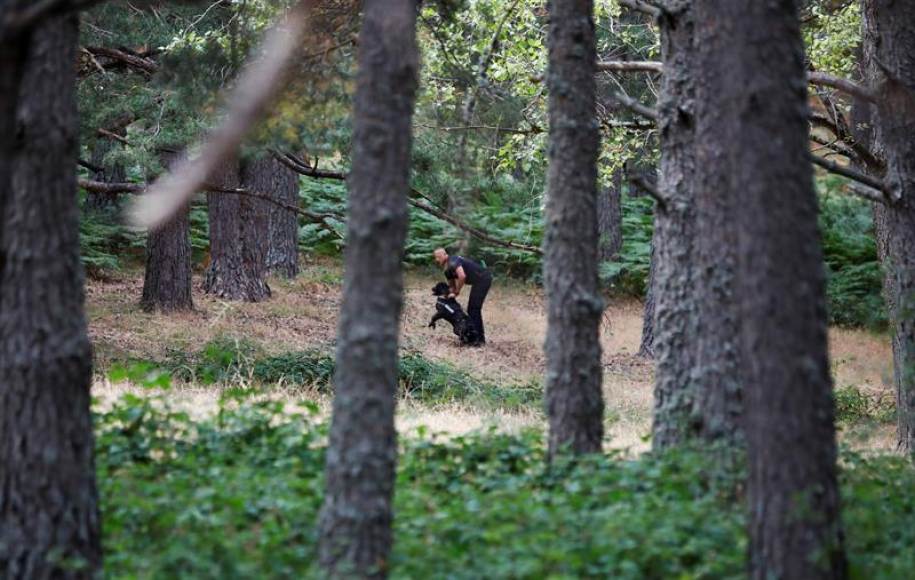 FOTOGRAFÍA. CERCEDILLA 8MADRID) ESPAÑA, 02.09.2019. Policía Nacional peina la zona de la Dehesa de Cercedilla, búsquedade la medallista olímpica Blanca Fernández Ochoa. Efe