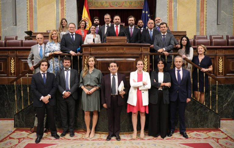 Los 24 de VOX de la XIII Legislatura española posan «por España» ante la cita del 10-N