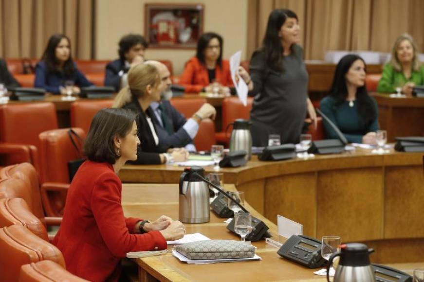 FOTOGRAFÍA. CONGRESO DE LOS DIPUTADOS (MADRID), 22.10.2019. La secretaria general del grupo de Vox, Macarena Olona (de pie). Efe