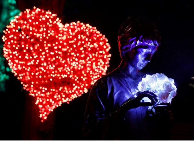 Las luces de Navidad de Jardín Botánico crean expectación