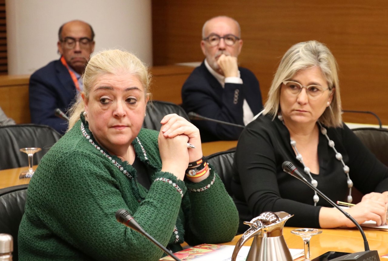 FOTOGRAFÍA. PARLAMENTO DE VALENCIA (LAS COERTES VALENCIANAS), 26.11.2019. Los diputados autonómicos de VOX en Las Cortes valencianas. Ñ Pueblo (1)