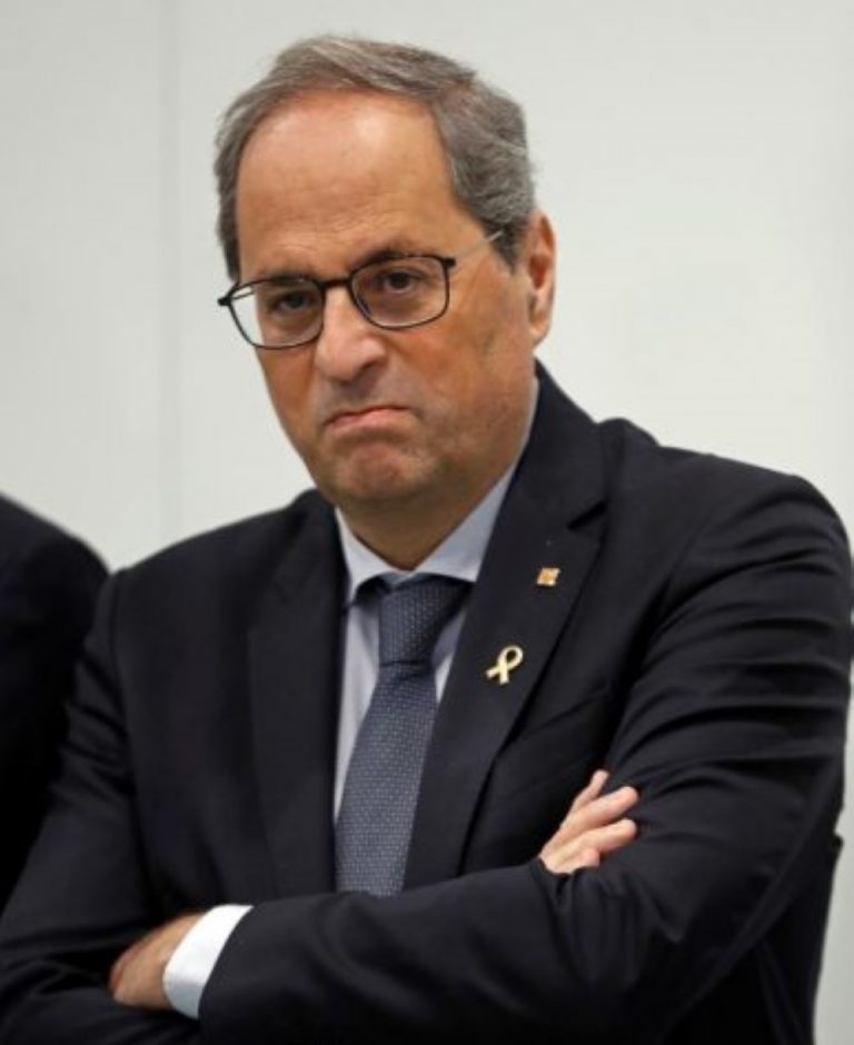 Torra ve «radicalmente nulo de pleno derecho», ordenar la retirada su acta de diputado
