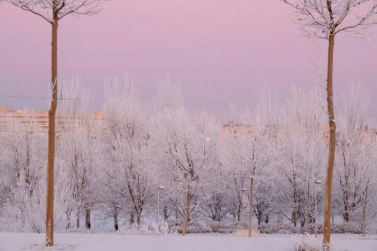 FOTOGRAFÍA. SALAMANCA (ESPAÑA), 13.01.2020. Imagen de un campo escarchado, este lunes, 13 de enero de 2020, en Salamanca, después de que las bajas temperaturas propiciaran intensas heladas en la capital del Tormes. Efe