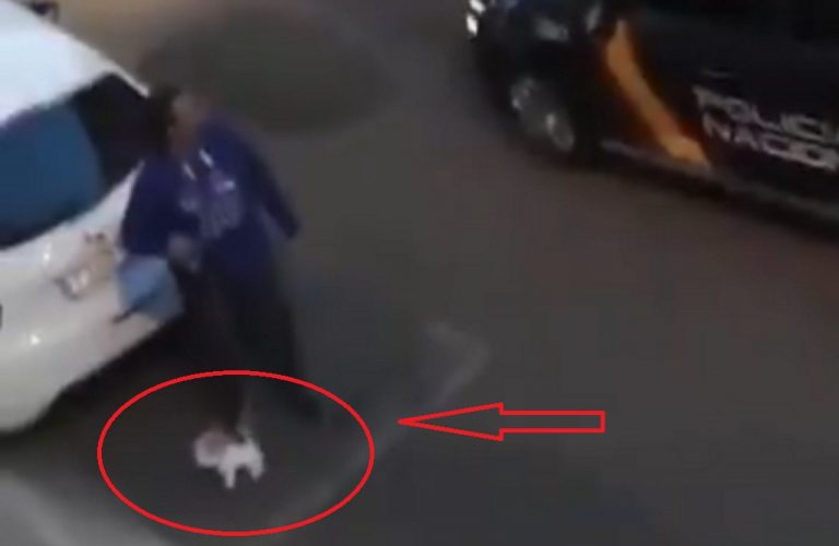 Estado de alarma: Policía sorprende a un hombre que paseaba un perro de peluche